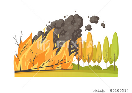 Forest Fire Disaster Composition 99109514