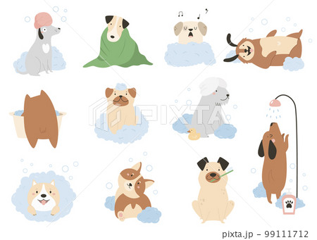 Set of funny washing dogs in different poses. Vector illustration of adorable pets 99111712