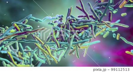Erysipelothrix bacteria, 3D illustration Erysipelothrix bacteria, 3D illustration 99112513