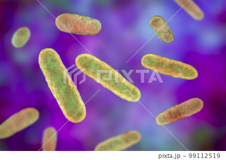 Bacteria Eikenella, illustration 99112519