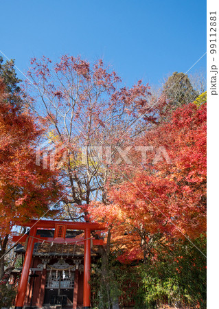 殺生石神社の紅葉 殺生石神社の紅葉 99112881
