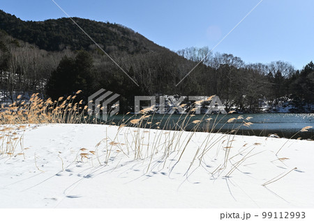 冬の栃木県日光市湯ノ湖畔の風景 冬の栃木県日光市湯ノ湖畔の風景 99112993
