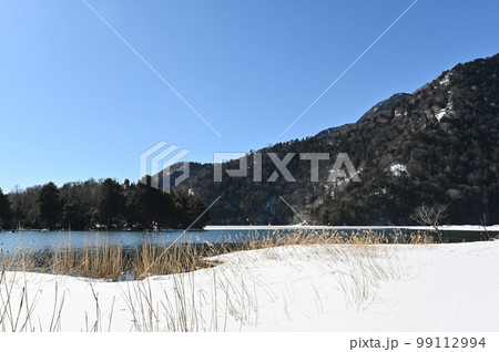 冬の栃木県日光市湯ノ湖畔の風景 99112994