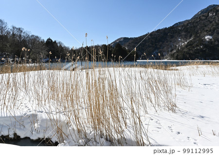 冬の栃木県日光市湯ノ湖畔の風景 99112995