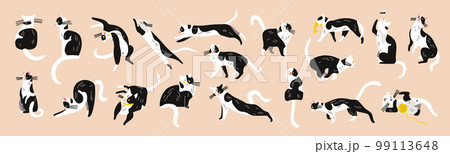 Black White Cats Set 99113648