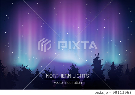 Arctic Borealis Realistic Vector Illustration Arctic Borealis Realistic Vector Illustration 99113963
