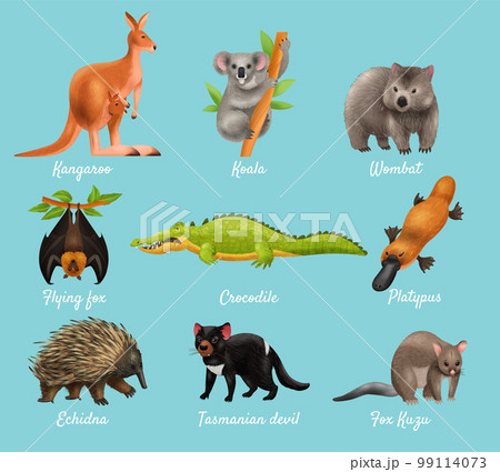 Australian Animals Design Concept 99114073