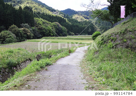 れんげの里の風景 99114784