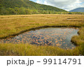 尾瀬 99114791