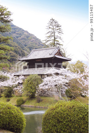 山口県岩国市 桜咲く吉香公園の錦雲閣 99115407