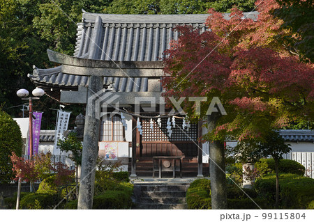 壷井八幡宮　羽曳野　大阪 99115804