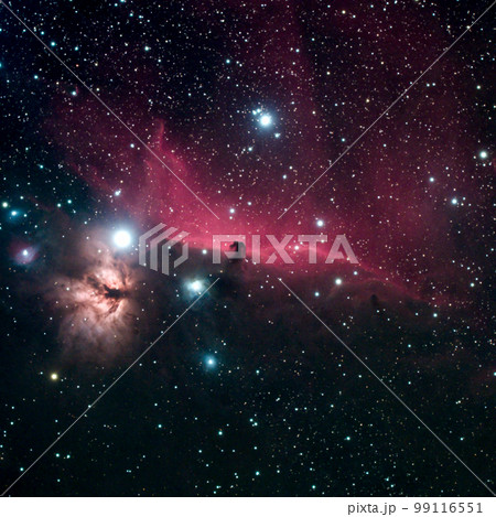 馬頭星雲と燃える木 馬頭星雲と燃える木 99116551