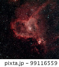 ハート星雲 99116559