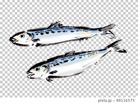イワシの手描き和風イラスト和風素材 99116575
