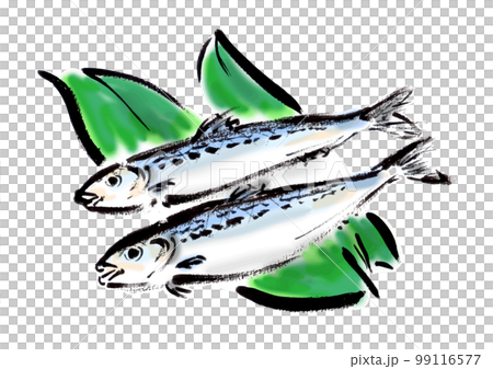 沙丁魚手繪日式插畫日式素材 沙丁魚手繪日式插畫日式素材 99116577
