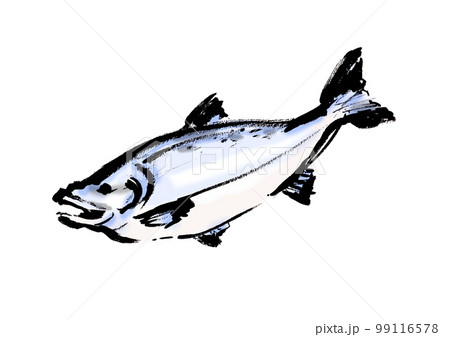鮭の手描き和風イラスト和風素材 鮭の手描き和風イラスト和風素材 99116578