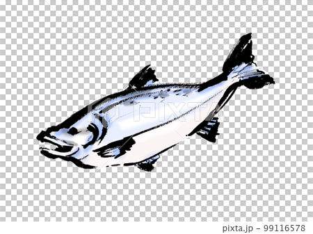 鮭の手描き和風イラスト和風素材 鮭の手描き和風イラスト和風素材 99116578
