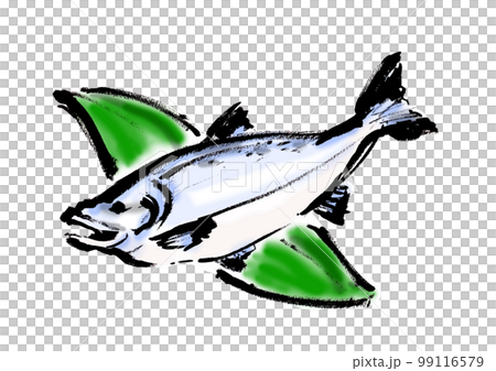 salmon hand drawn japanese style illustration japanese style material salmon hand drawn japanese style illustration japanese style material 99116579