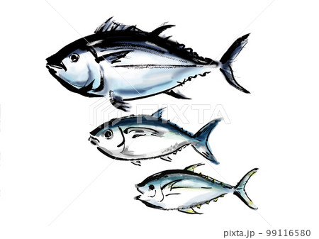 マグロの品種別手描き和風イラスト和風素材 99116580