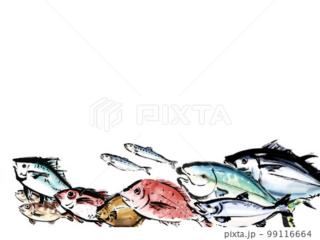 手描きの魚集合イラストフレーム 99116664