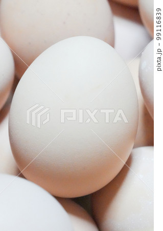 名古屋コーチン卵 99116839
