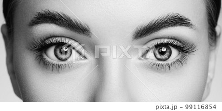 Female eye with long false eyelashes Female eye with long false eyelashes 99116854