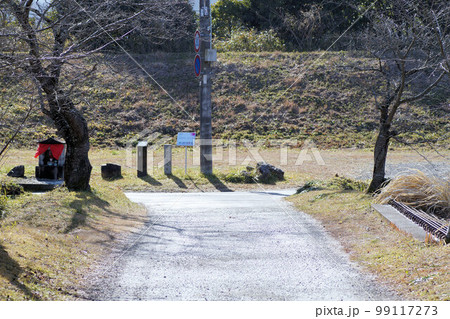 篠山城跡　南馬出につながる道　冬　1月 99117273