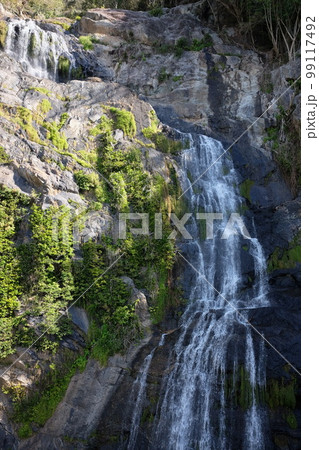 ケアンズ観光で必ず乗りたいキュランダ観光鉄道 Kuranda Scenic Railway ケアンズ観光で必ず乗りたいキュランダ観光鉄道 Kuranda Scenic Railway 99117492