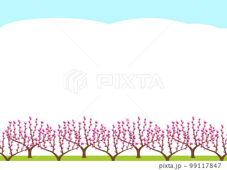 早春の桃園の背景 99117847