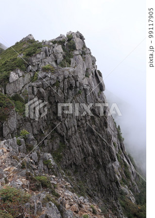金峰山　千代の吹上 99117905