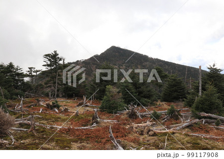 大峰山　弥山から望む八経ケ岳 99117908