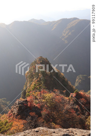 大台ケ原　大蛇嵓の紅葉 99117909