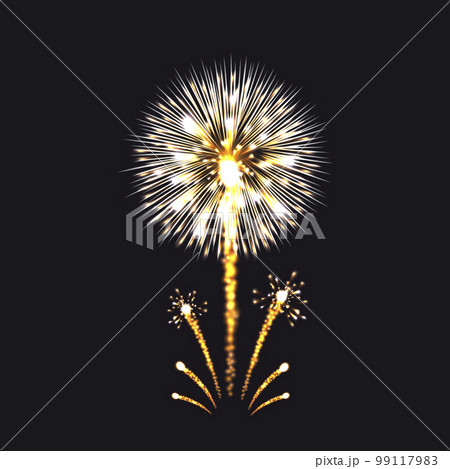 Vector Fireworks 99117983
