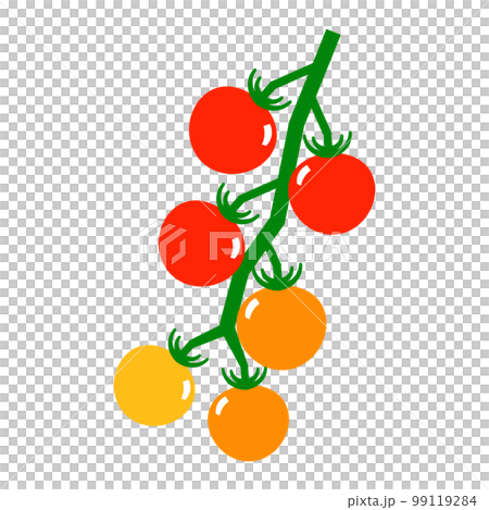 Vector illustration of a bunch of mini tomatoes colored in gradation Vector illustration of a bunch of mini tomatoes colored in gradation 99119284