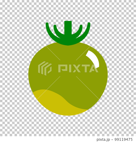 Vector illustration of a simple and cute green rare mini tomato 99119475