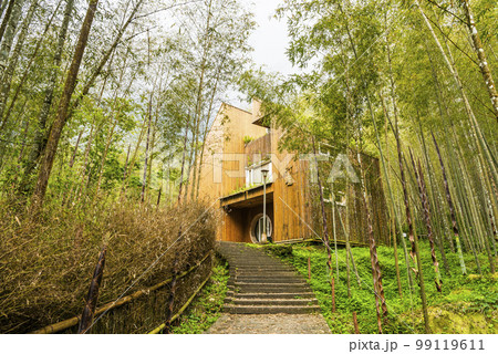 Building view of Bamboo Cottage at Xitou Nature Education Area in Nantou, Taiwan. Building view of Bamboo Cottage at Xitou Nature Education Area in Nantou, Taiwan. 99119611