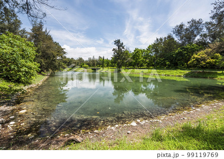 Beautiful view of Pipa Lake at Taitung Forest Park in Taiwan. The scenic Pipa Lake is a habitat of aquatic animals and plants. 99119769