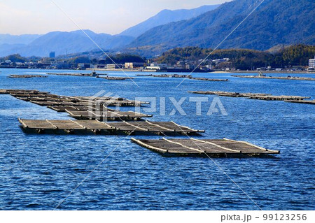 瀬戸内・海の幸 牡蠣の養殖(かき筏) 瀬戸内・海の幸 牡蠣の養殖(かき筏) 99123256