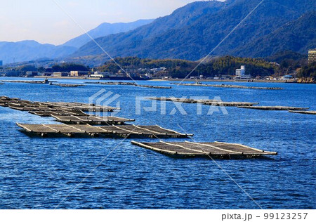 瀬戸内・海の幸 牡蠣の養殖(かき筏) 瀬戸内・海の幸 牡蠣の養殖(かき筏) 99123257