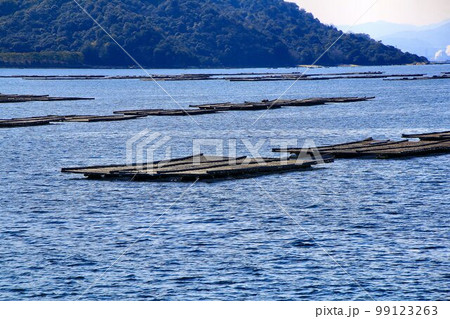 瀬戸内・海の幸 牡蠣の養殖(かき筏) 99123263