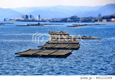 瀬戸内・海の幸 牡蠣の養殖(かき筏) 瀬戸内・海の幸 牡蠣の養殖(かき筏) 99123269