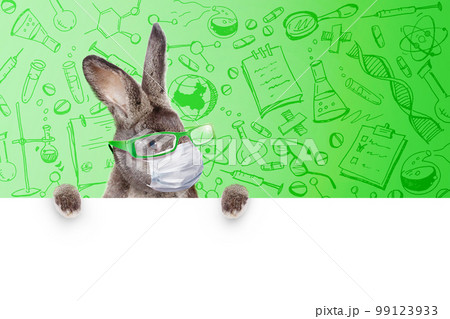 Easter rabbit with medical mask at epidemic time 99123933