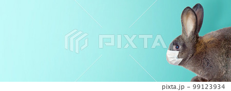 Easter rabbit with medical mask at epidemic time 99123934