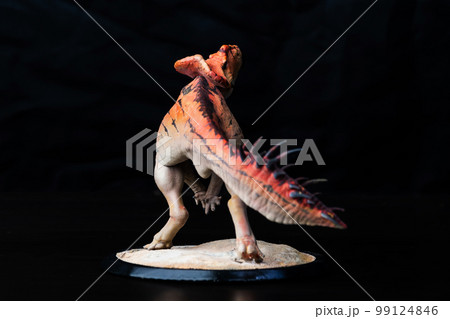 Protoceratops , dinosaur on black background Protoceratops , dinosaur on black background 99124846