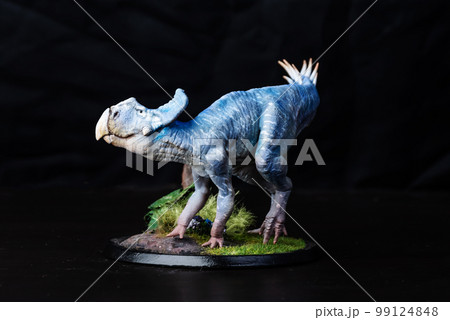 Protoceratops , dinosaur on black background Protoceratops , dinosaur on black background 99124848