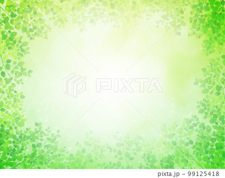 新緑 若葉 環境イメージ背景素材 新緑 若葉 環境イメージ背景素材 99125418