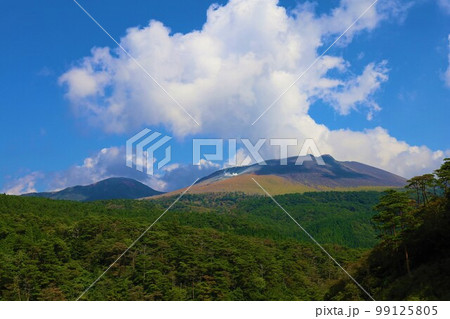 宮崎県と鹿児島県にまたがる霧島とえびの高原の旅 99125805