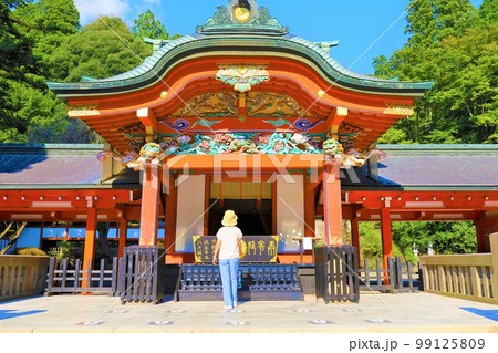 宮崎県と鹿児島県にまたがる霧島とえびの高原の旅 宮崎県と鹿児島県にまたがる霧島とえびの高原の旅 99125809