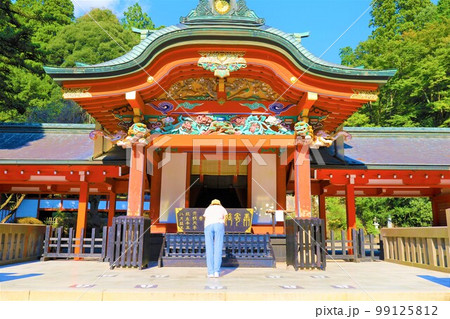 宮崎県と鹿児島県にまたがる霧島とえびの高原の旅 99125812