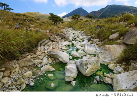 宮崎県と鹿児島県にまたがる霧島とえびの高原の旅 宮崎県と鹿児島県にまたがる霧島とえびの高原の旅 99125815